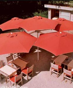 Ô quán cafe 42